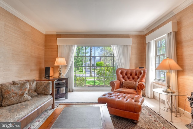 465 Hillcrest Ave, State College, PA 16803 - living area with ornamental molding