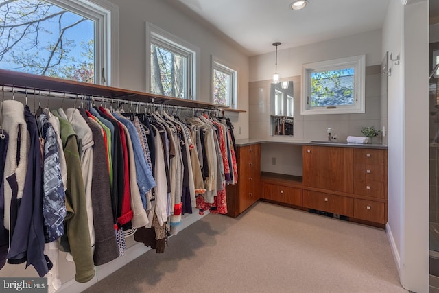 465 Hillcrest Ave, State College, PA 16803 - walk in closet featuring a sink and light colored carpet