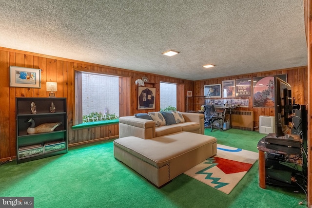 465 Hillcrest Ave, State College, PA 16803 - carpeted living area featuring wood walls and a textured ceiling