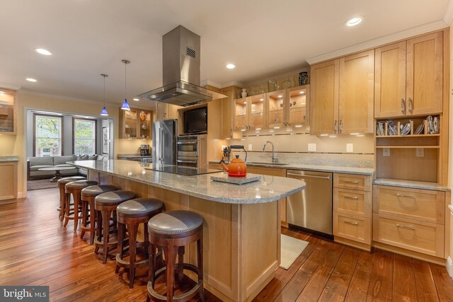 465 Hillcrest Ave, State College, PA 16803 - kitchen with crown molding, dark wood-style flooring, island exhaust hood, a sink, and stainless steel appliances