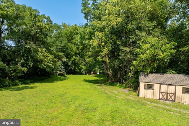 view of yard with an outdoor structure and a shed