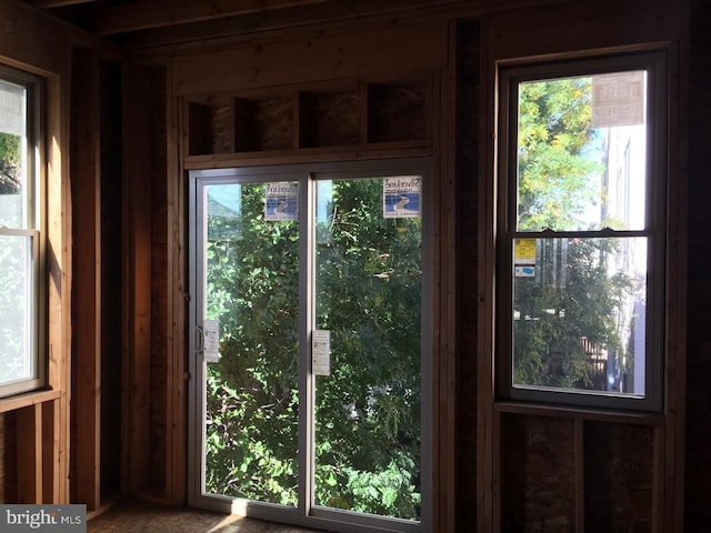 entryway featuring a wealth of natural light