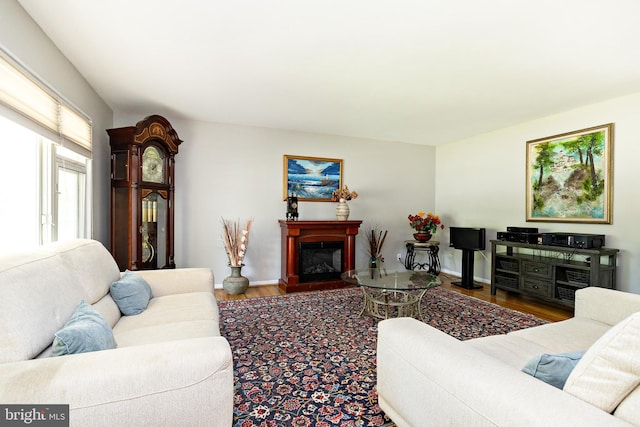 living area featuring baseboards, wood finished floors, and a fireplace