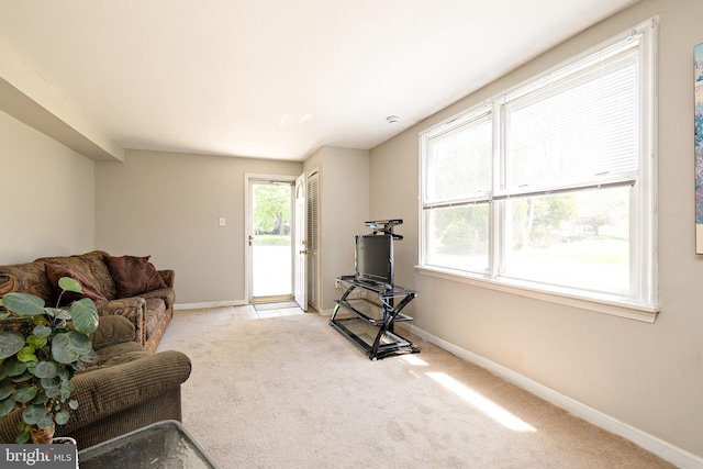 living room featuring carpet floors and baseboards