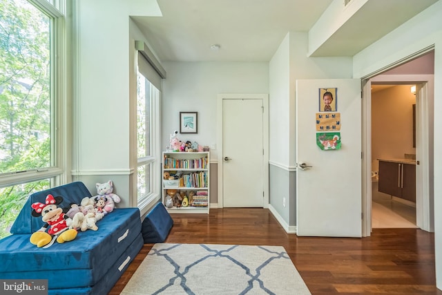 interior space with baseboards, wood finished floors, and a wealth of natural light