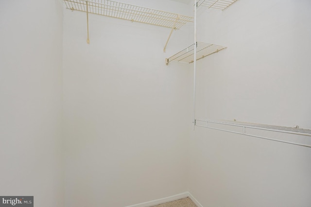 spacious closet featuring light carpet