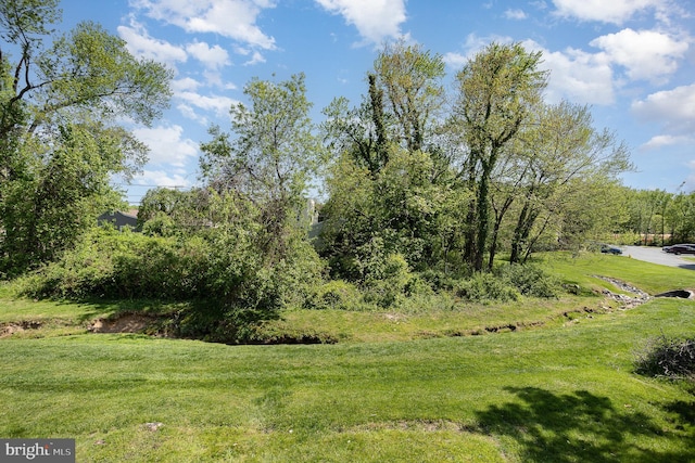 view of landscape