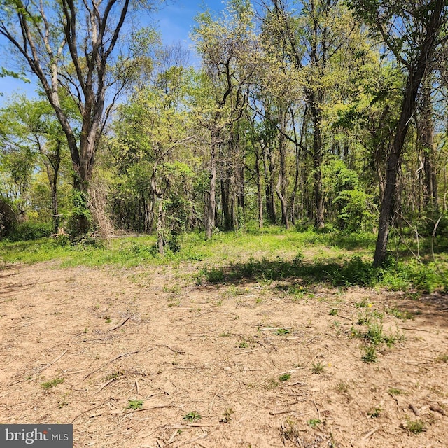Snydersburg, Westminster, MD 21157