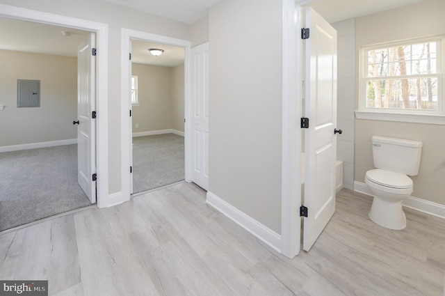 bathroom featuring toilet, baseboards, wood finished floors, and electric panel