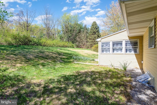 view of yard