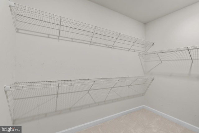 spacious closet with carpet