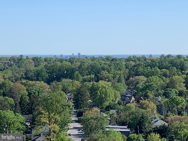 bird's eye view of a forest