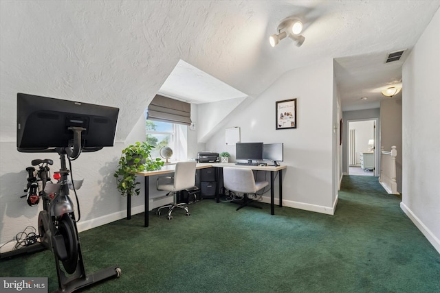 380 Bishop Hollow Rd, Newtown Square, PA 19073 - carpeted office with baseboards, a textured ceiling, and vaulted ceiling