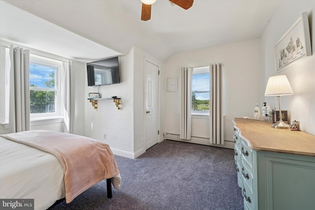 380 Bishop Hollow Rd, Newtown Square, PA 19073 - bedroom with multiple windows, dark carpet, a baseboard radiator, vaulted ceiling, and baseboards