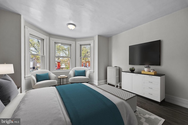 bedroom featuring baseboards, radiator heating unit, and multiple windows