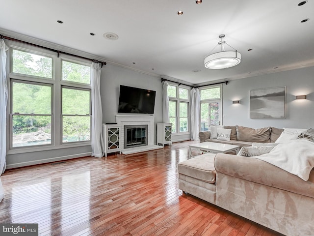 living area featuring crown molding, plenty of natural light, light wood-style flooring, a glass covered fireplace, and baseboards