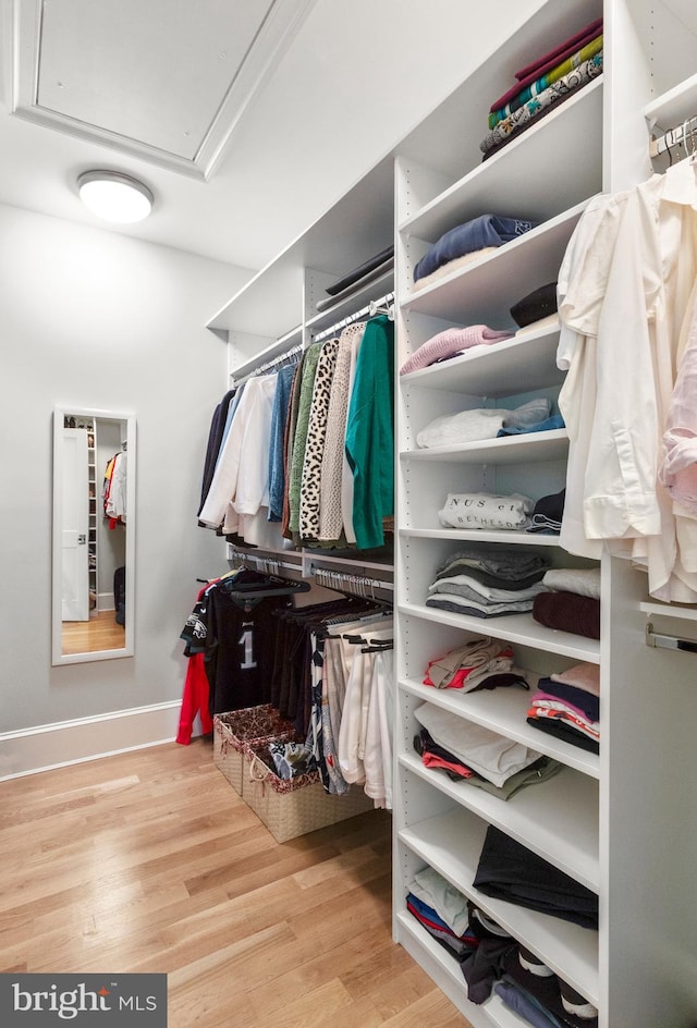 4416 Stanford St, Chevy Chase, MD 20815 - spacious closet with attic access and wood finished floors