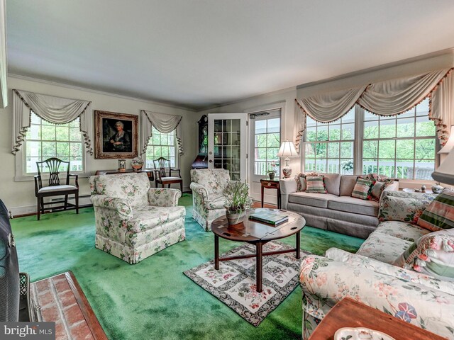 living area with healthy amount of natural light, carpet, baseboard heating, baseboards, and crown molding