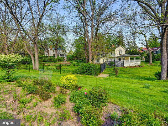 view of yard