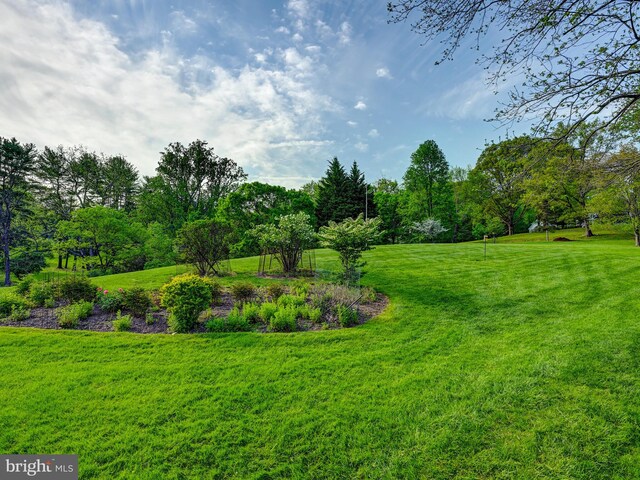 view of grassy yard
