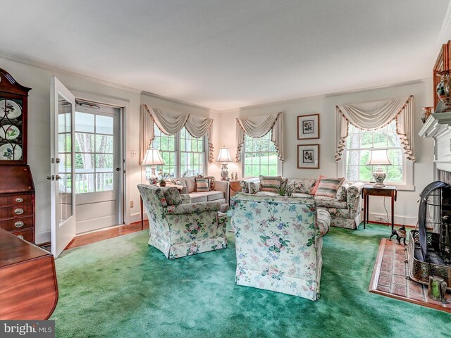 living room with a fireplace and carpet floors