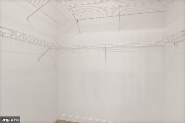 view of spacious closet