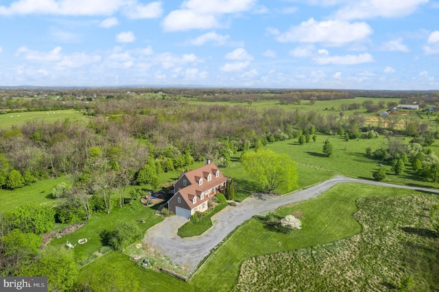 aerial view