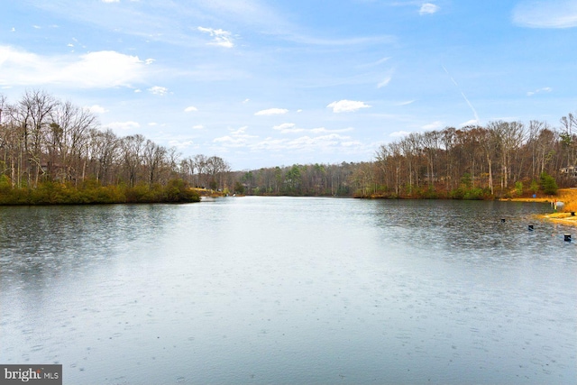 view of water feature featuring a view of trees