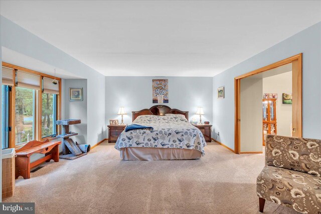 8 Winchester Ct, Tabernacle, NJ 08088 - carpeted bedroom with baseboards