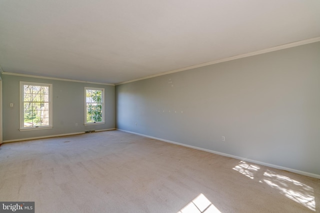 1114 Colonial Rd, Lancaster, PA 17603 - spare room with baseboards, ornamental molding, and carpet