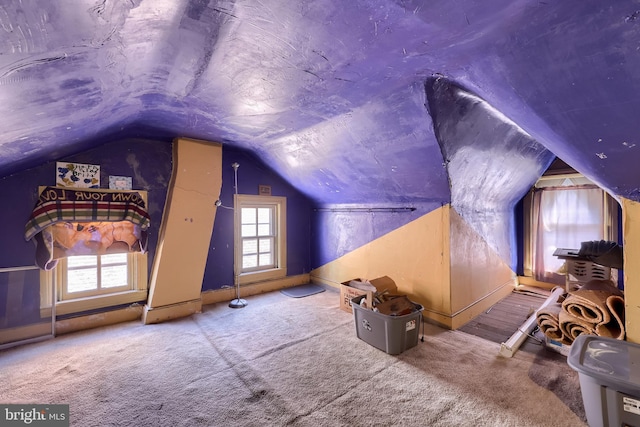 731 Locust St, Columbia, PA 17512 - additional living space with carpet and lofted ceiling