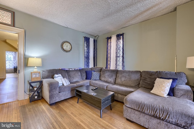 731 Locust St, Columbia, PA 17512 - living room with light wood-style floors, a textured ceiling, and lofted ceiling