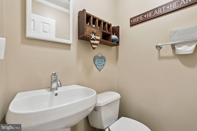 half bathroom with crown molding, a sink, and toilet