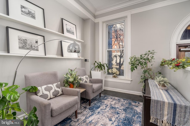 living area with baseboards, ornamental molding, and a wealth of natural light