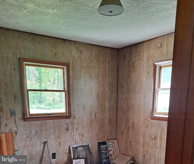 spare room with wooden walls, a textured ceiling, and a healthy amount of sunlight