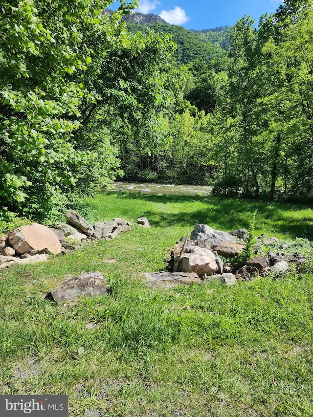 view of yard featuring a view of trees