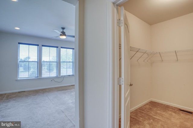 walk in closet featuring ceiling fan, carpet flooring, and visible vents