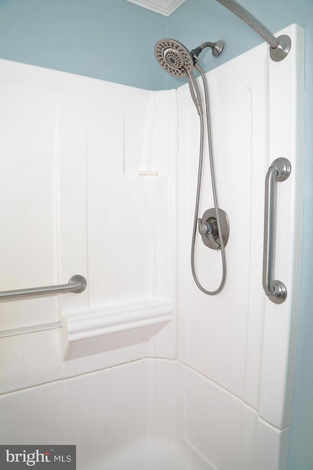 2426 Mount Pleasant Rd, Mount Joy, PA 17552 - bathroom view of a shower