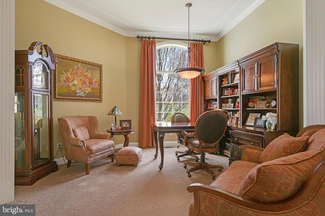 office area featuring carpet floors, crown molding, and baseboards