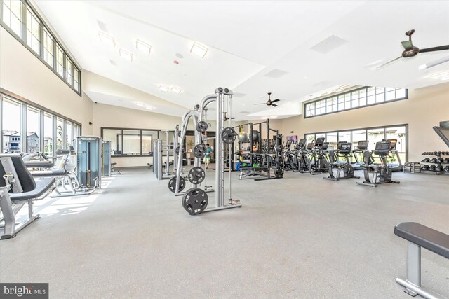 9743 Wyndham Dr, Frederick, MD 21704 - gym featuring ceiling fan, healthy amount of natural light, and a towering ceiling