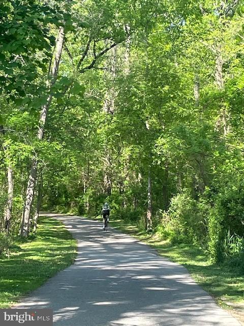 view of road with a forest view