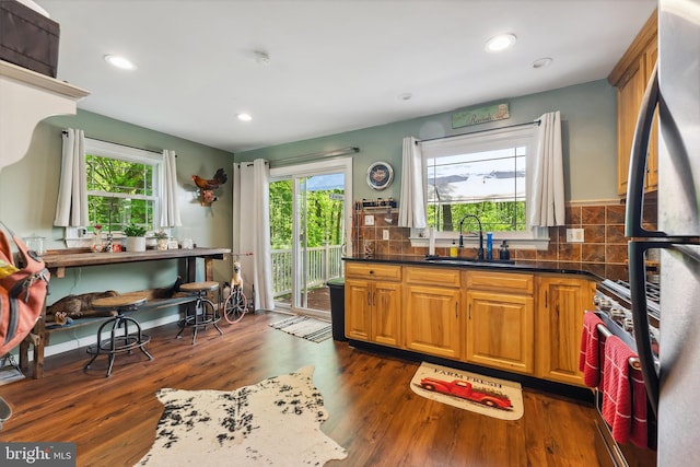 kitchen with stainless steel appliances, a wealth of natural light, a sink, and dark wood-type flooring