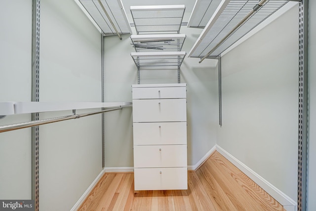 2 S Manchester St S, Arlington, VA 22204 - spacious closet with light wood finished floors