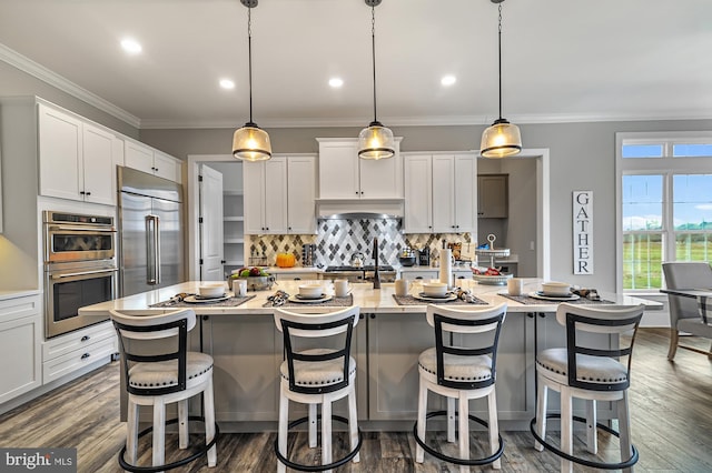 404 Wiggins Mill Rd, Townsend, DE 19734 - kitchen featuring appliances with stainless steel finishes, a kitchen island with sink, white cabinetry, tasteful backsplash, and under cabinet range hood