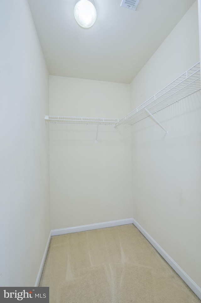 walk in closet featuring light carpet