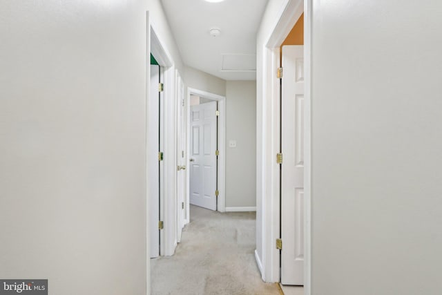 hall with light colored carpet and baseboards