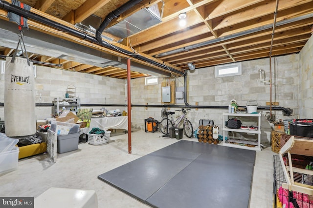 basement featuring electric panel