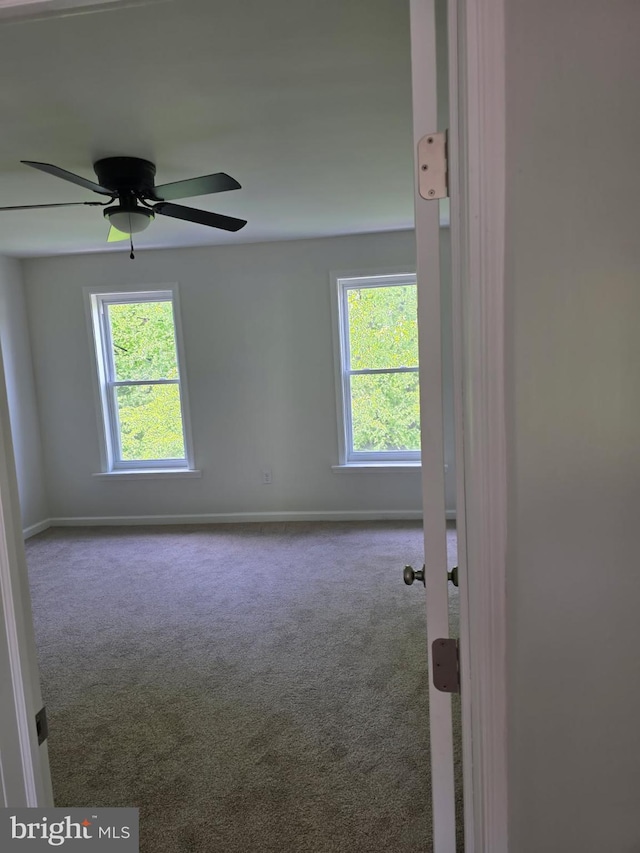 carpeted empty room featuring baseboards, a ceiling fan, and a wealth of natural light