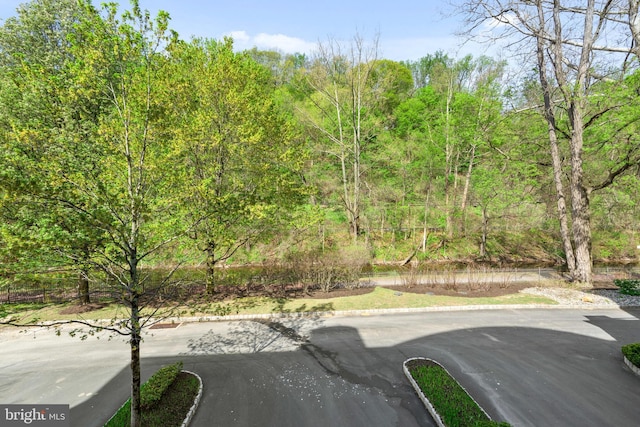 view of road featuring curbs and a wooded view