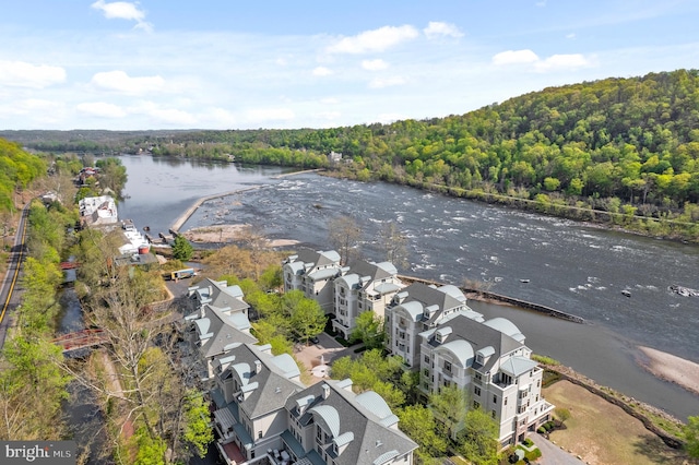 birds eye view of property featuring a water view and a forest view